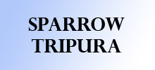Image – Sparrow Tripura