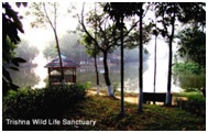 Photo of Trishna Wild Life Sanctuary