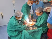 First ever kidney transplant operation in GB Hospital